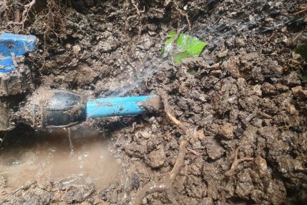 Water Mains Leak Detection Essex